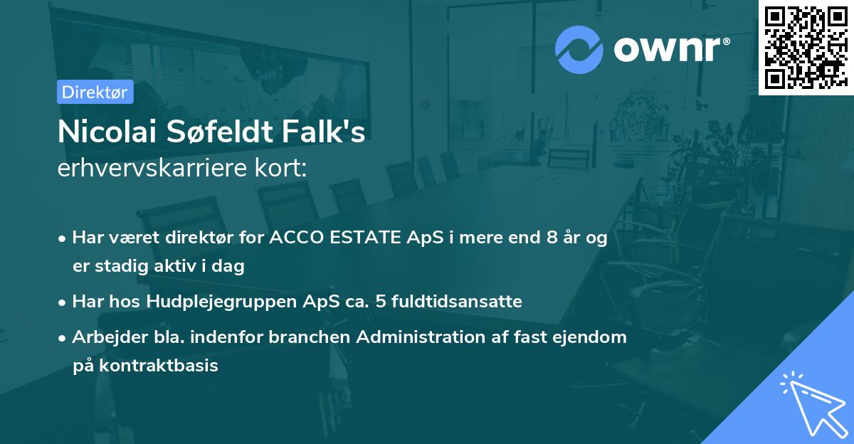 Nicolai Søfeldt Falk's erhvervskarriere kort