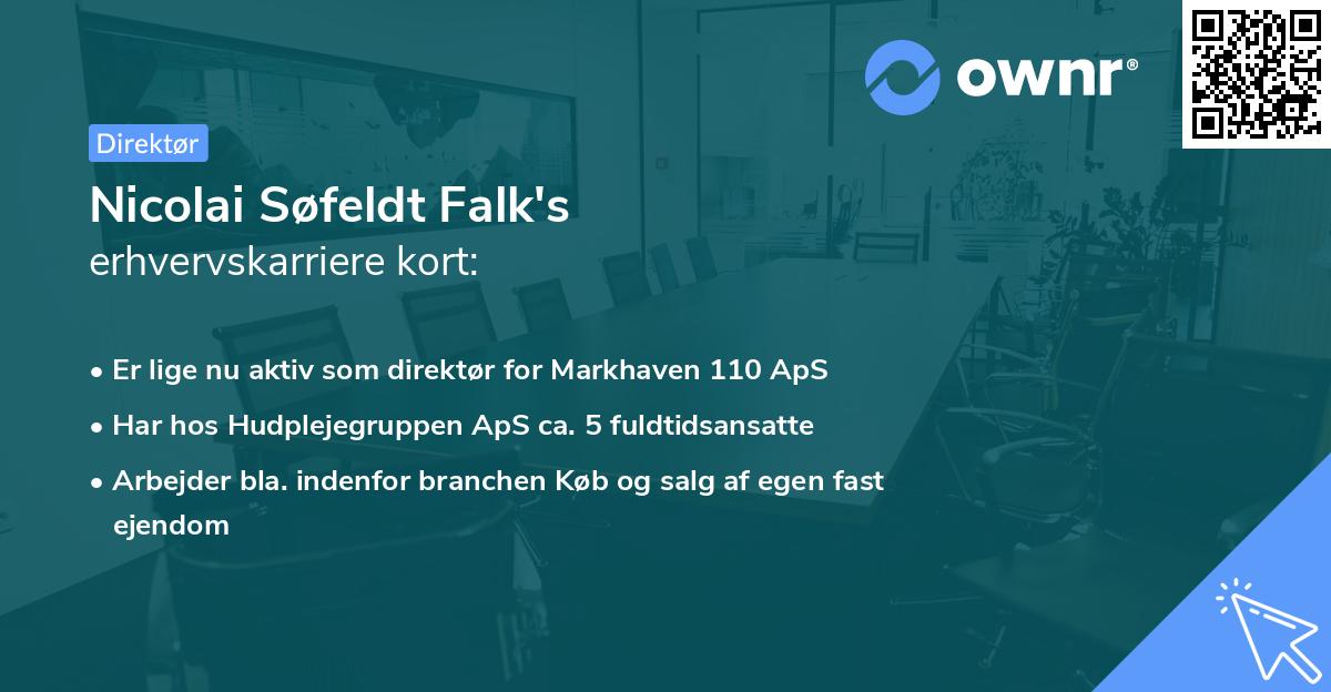 Nicolai Søfeldt Falk's erhvervskarriere kort