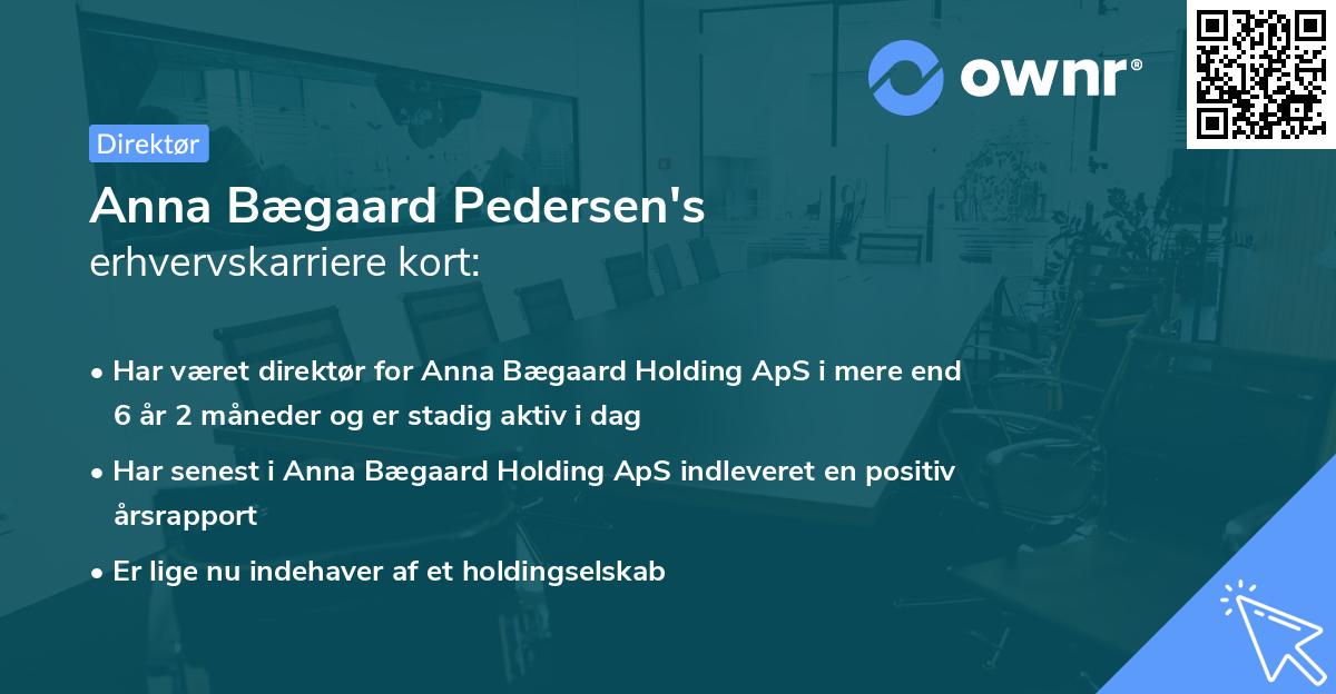 Anna Bægaard Pedersen's erhvervskarriere kort