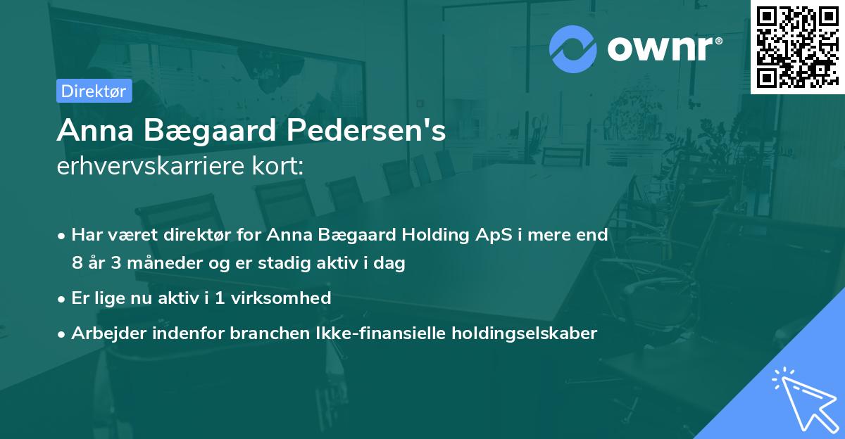 Anna Bægaard Pedersen's erhvervskarriere kort