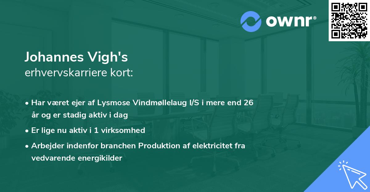 Johannes Vigh's erhvervskarriere kort