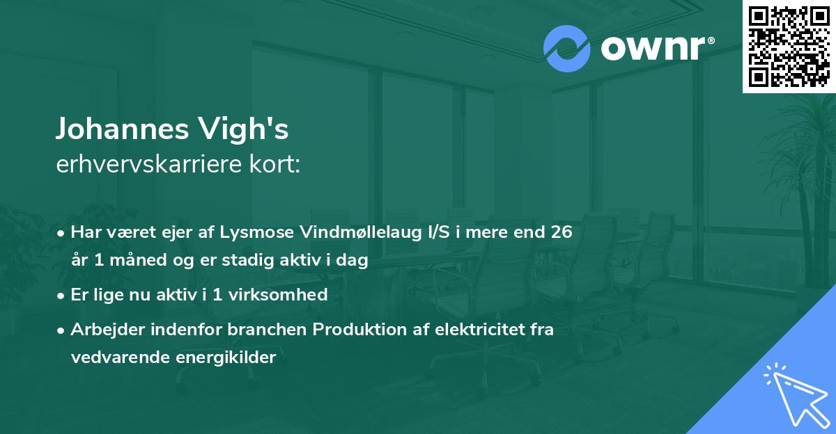 Johannes Vigh's erhvervskarriere kort