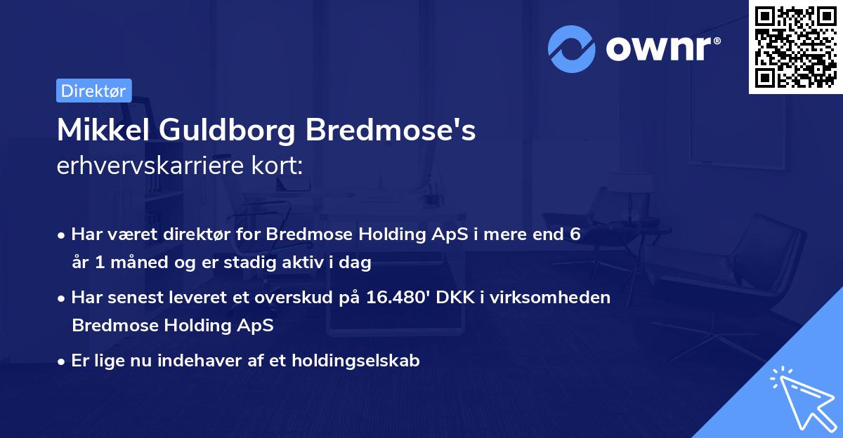 Mikkel Guldborg Bredmose's erhvervskarriere kort