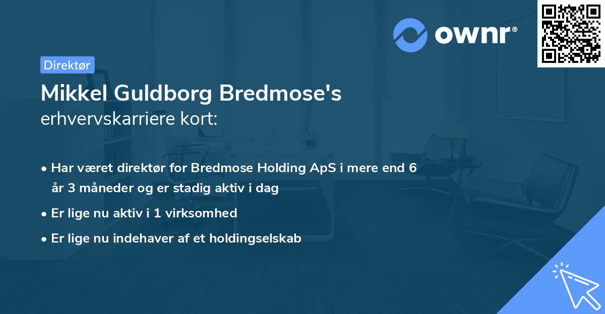Mikkel Guldborg Bredmose's erhvervskarriere kort