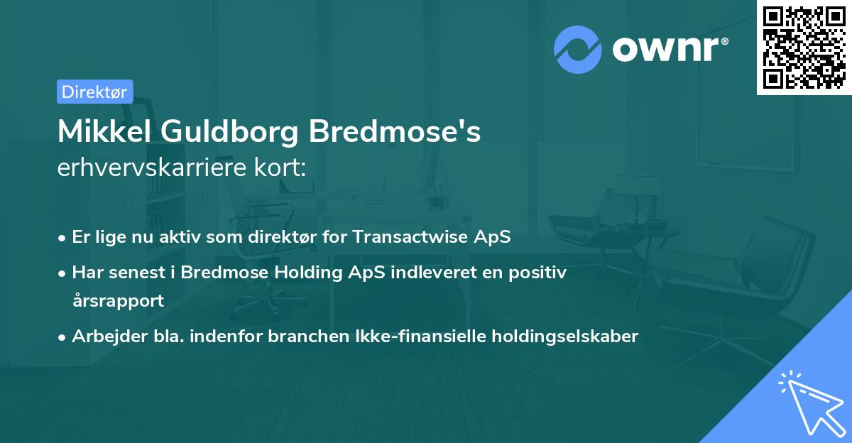 Mikkel Guldborg Bredmose's erhvervskarriere kort