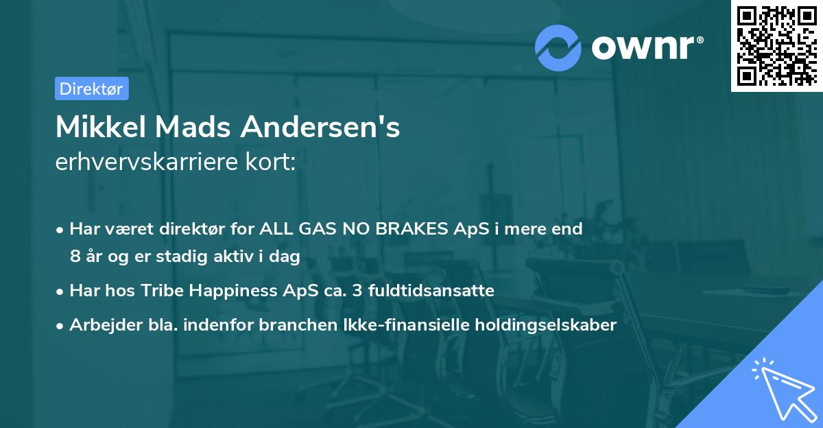 Mikkel Mads Andersen's erhvervskarriere kort