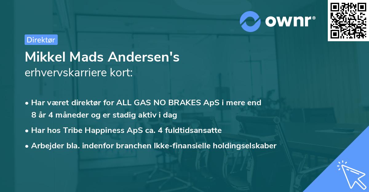 Mikkel Mads Andersen's erhvervskarriere kort