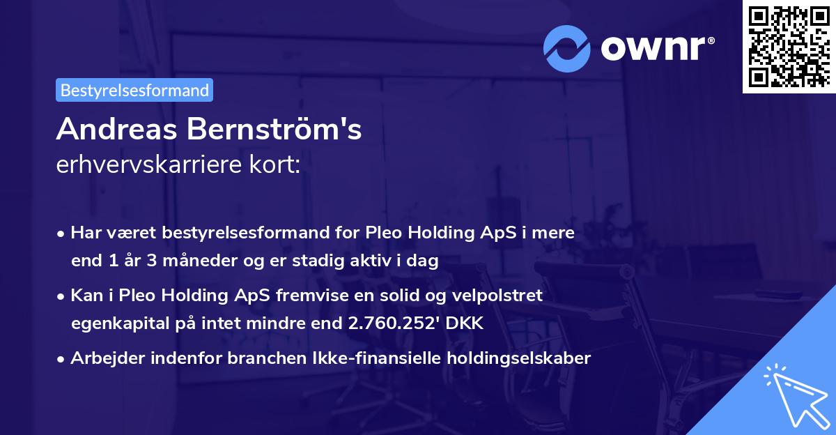 Andreas Bernström's erhvervskarriere kort