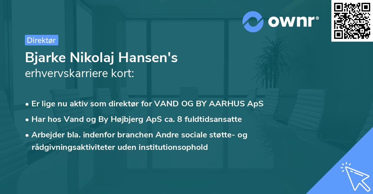 Bjarke Nikolaj Hansen's erhvervskarriere kort