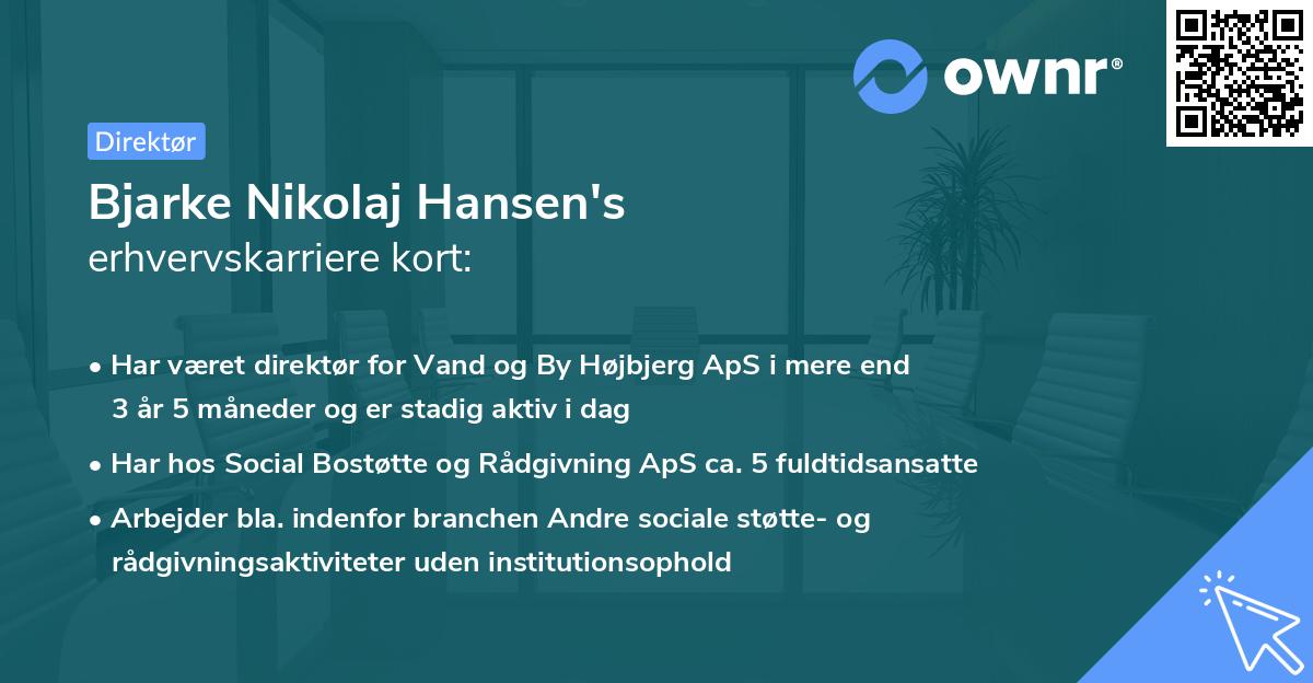 Bjarke Nikolaj Hansen's erhvervskarriere kort