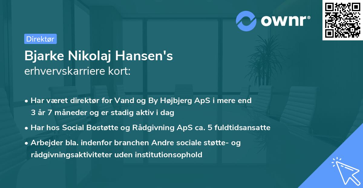 Bjarke Nikolaj Hansen's erhvervskarriere kort