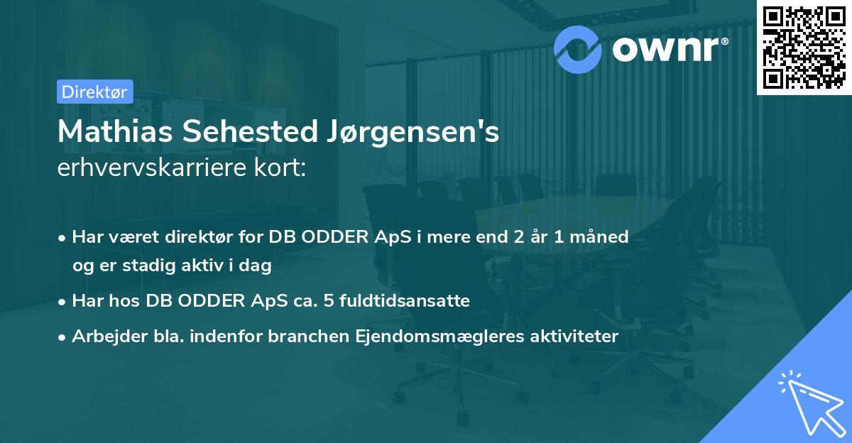 Mathias Sehested Jørgensen's erhvervskarriere kort