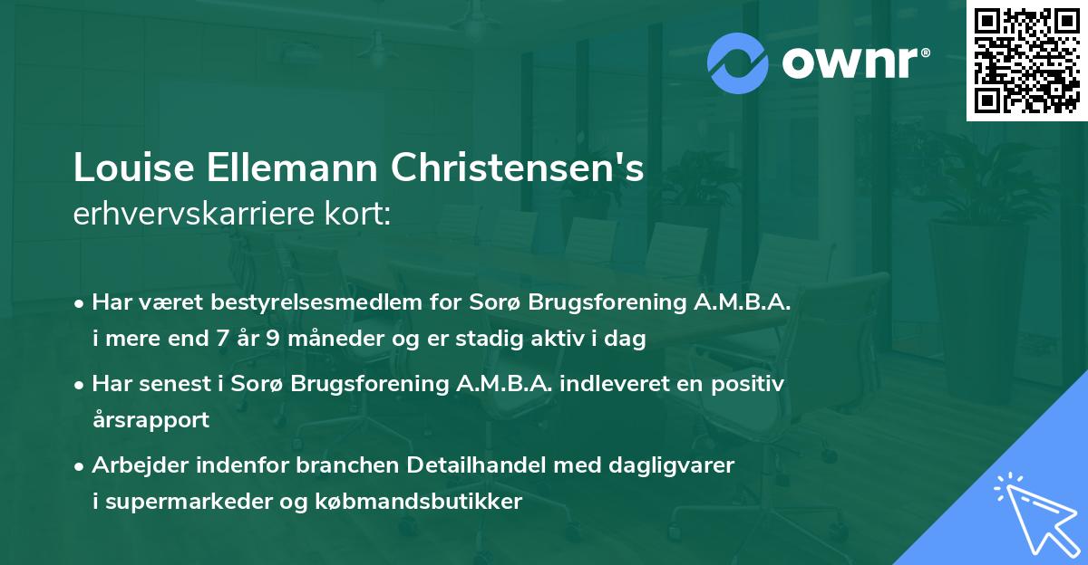 Louise Ellemann Christensen's erhvervskarriere kort