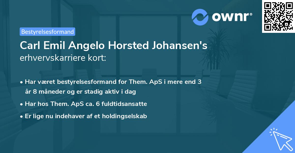 Carl Emil Angelo Horsted Johansen's erhvervskarriere kort