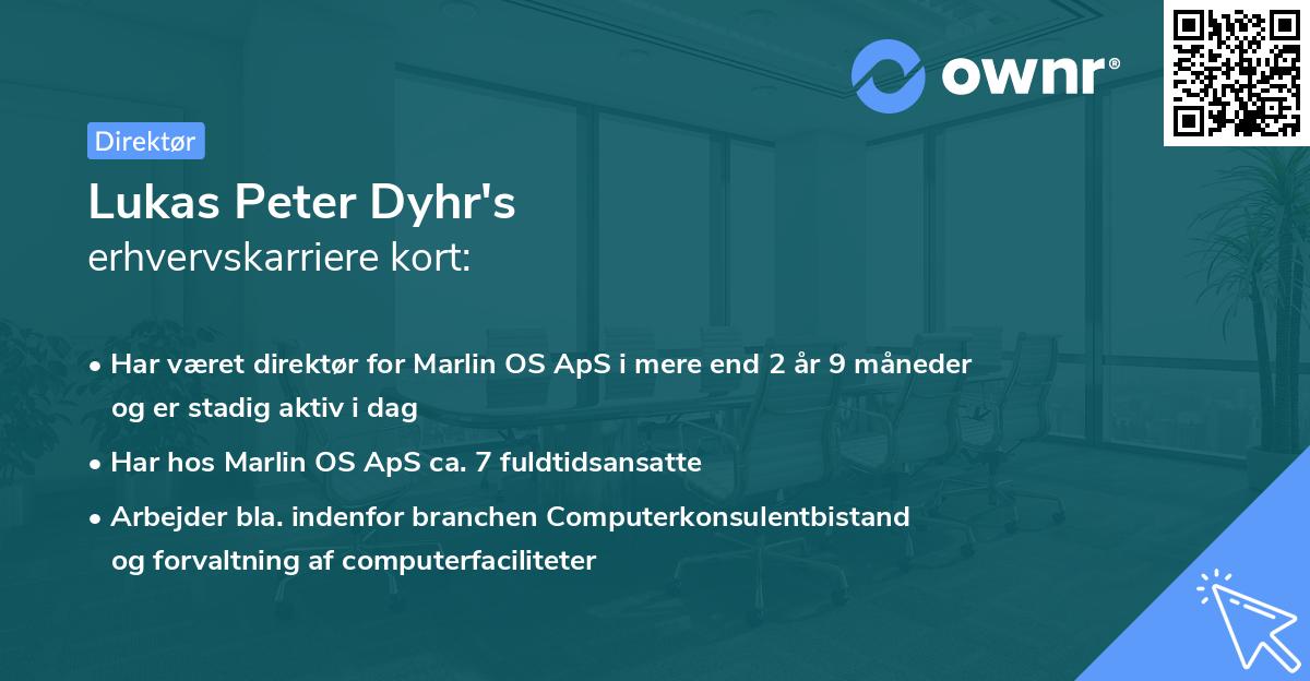 Lukas Peter Dyhr's erhvervskarriere kort