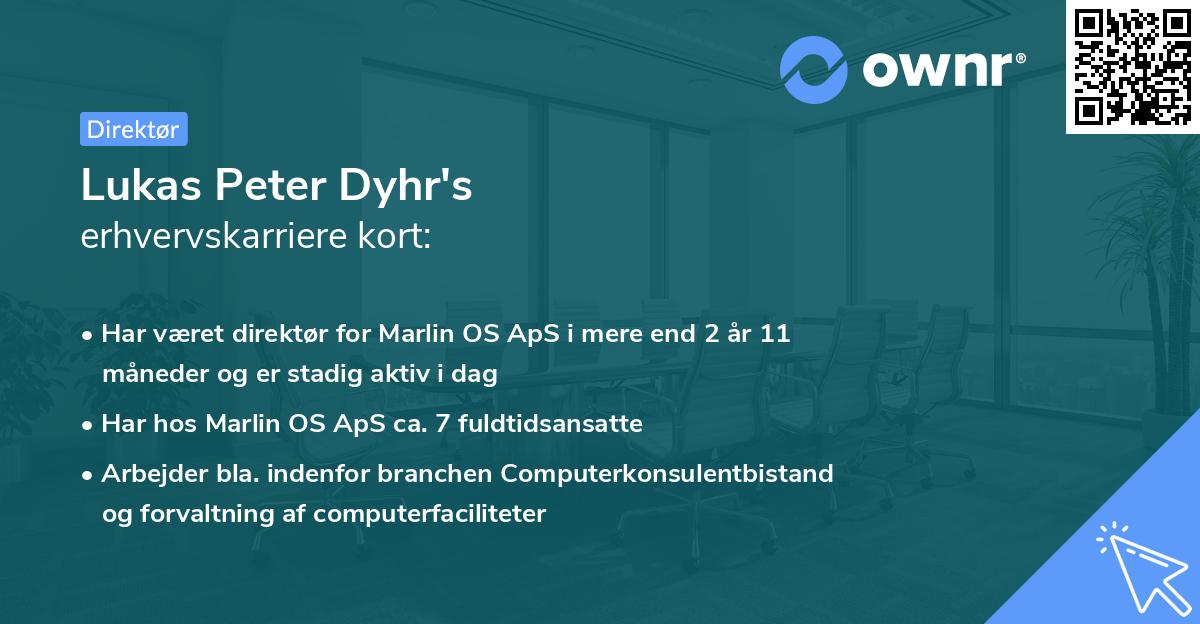Lukas Peter Dyhr's erhvervskarriere kort