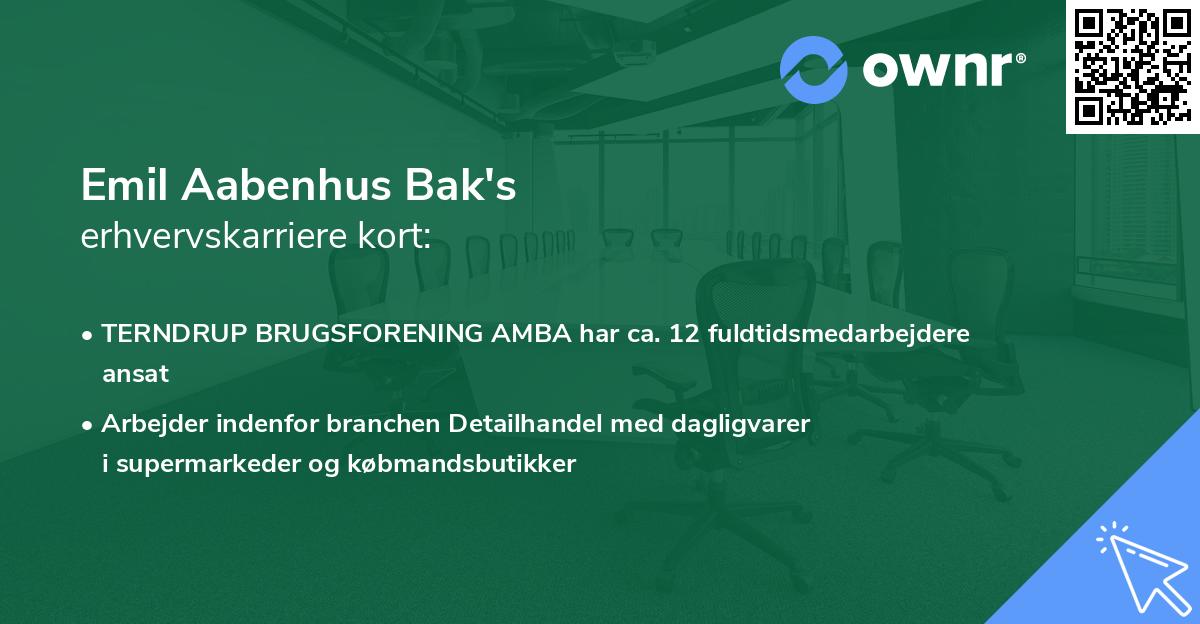 Emil Aabenhus Bak's erhvervskarriere kort