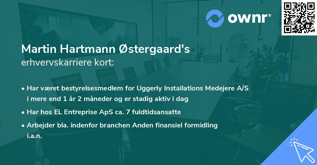 Martin Hartmann Østergaard's erhvervskarriere kort