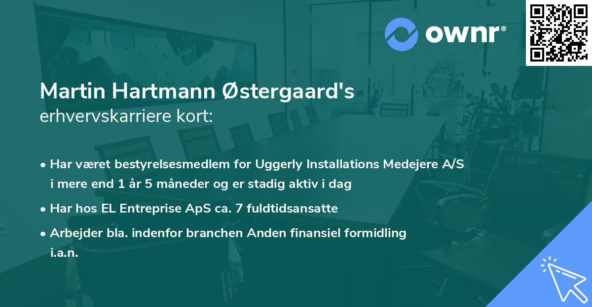 Martin Hartmann Østergaard's erhvervskarriere kort