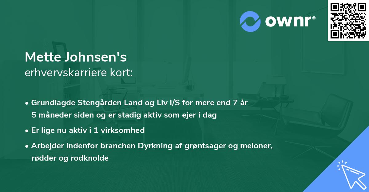 Mette Johnsen's erhvervskarriere kort
