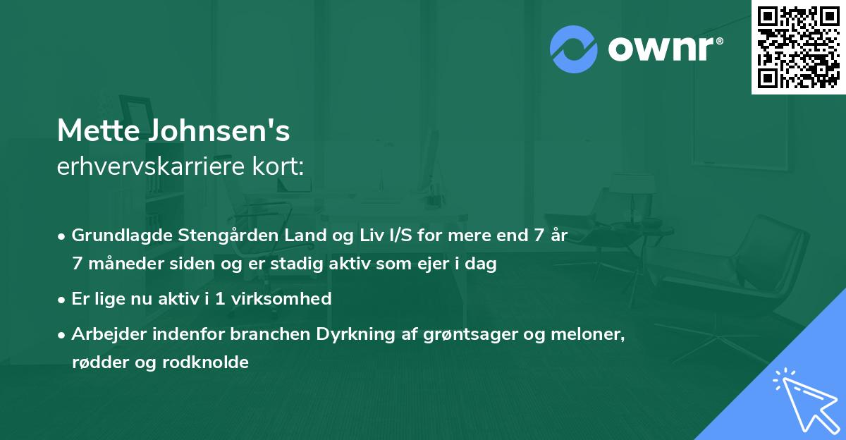 Mette Johnsen's erhvervskarriere kort
