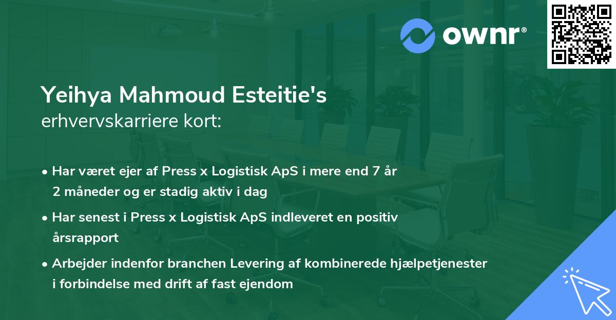 Yeihya Mahmoud Esteitie's erhvervskarriere kort