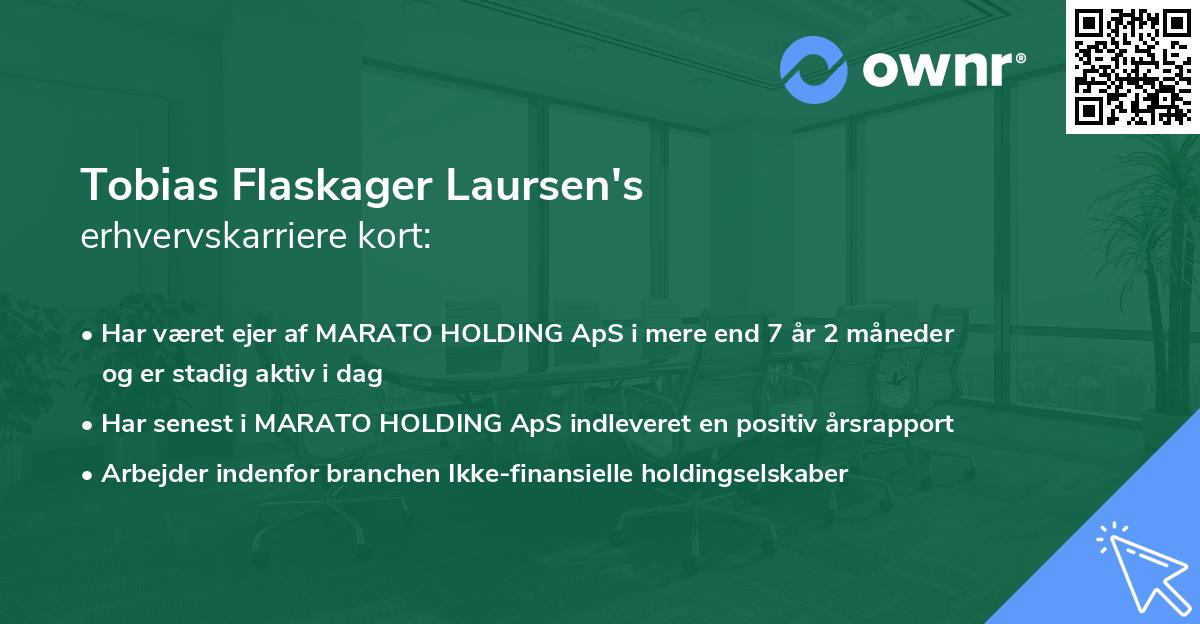Tobias Flaskager Laursen's erhvervskarriere kort
