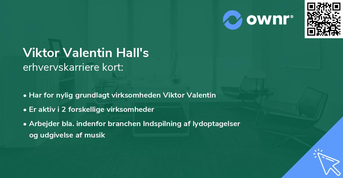 Viktor Valentin Hall's erhvervskarriere kort