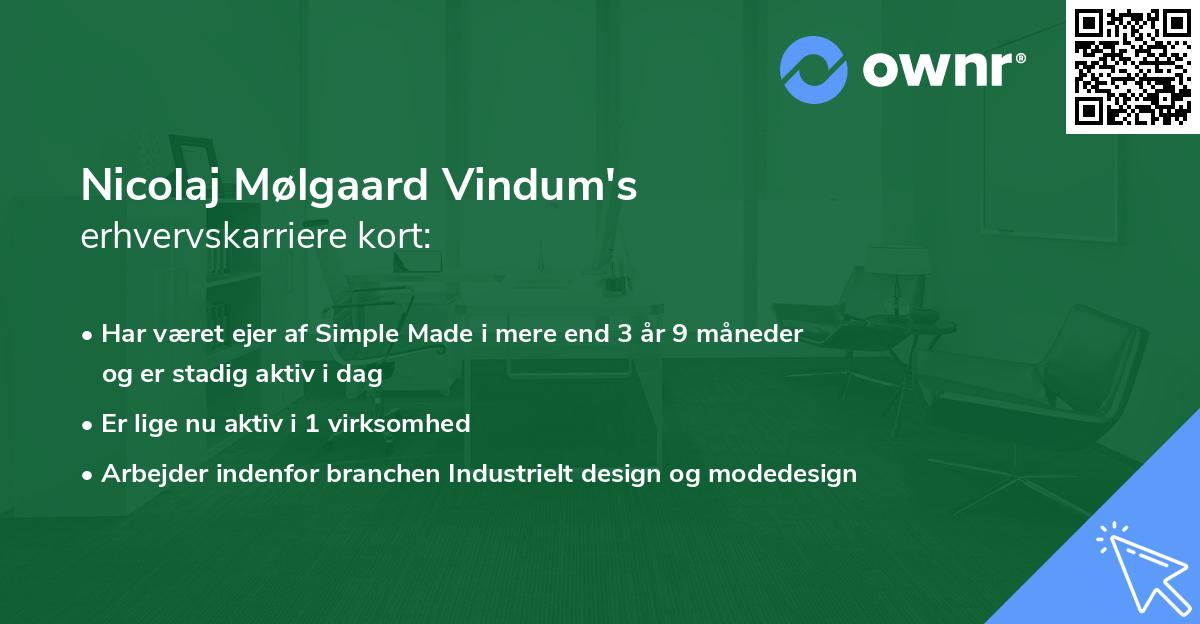 Nicolaj Mølgaard Vindum's erhvervskarriere kort