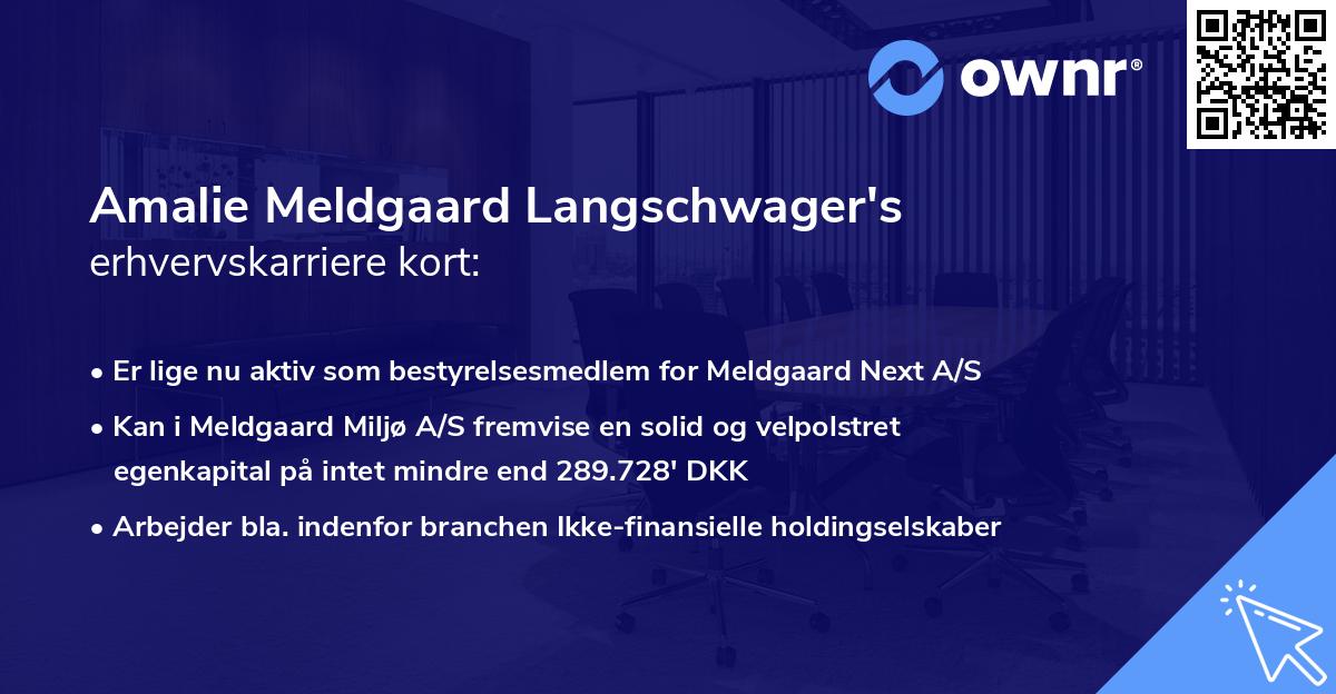 Amalie Meldgaard Langschwager's erhvervskarriere kort
