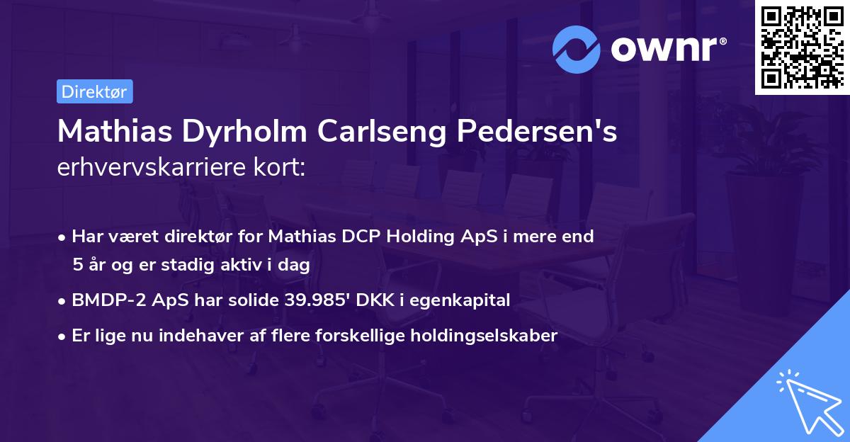 Mathias Dyrholm Carlseng Pedersen's erhvervskarriere kort