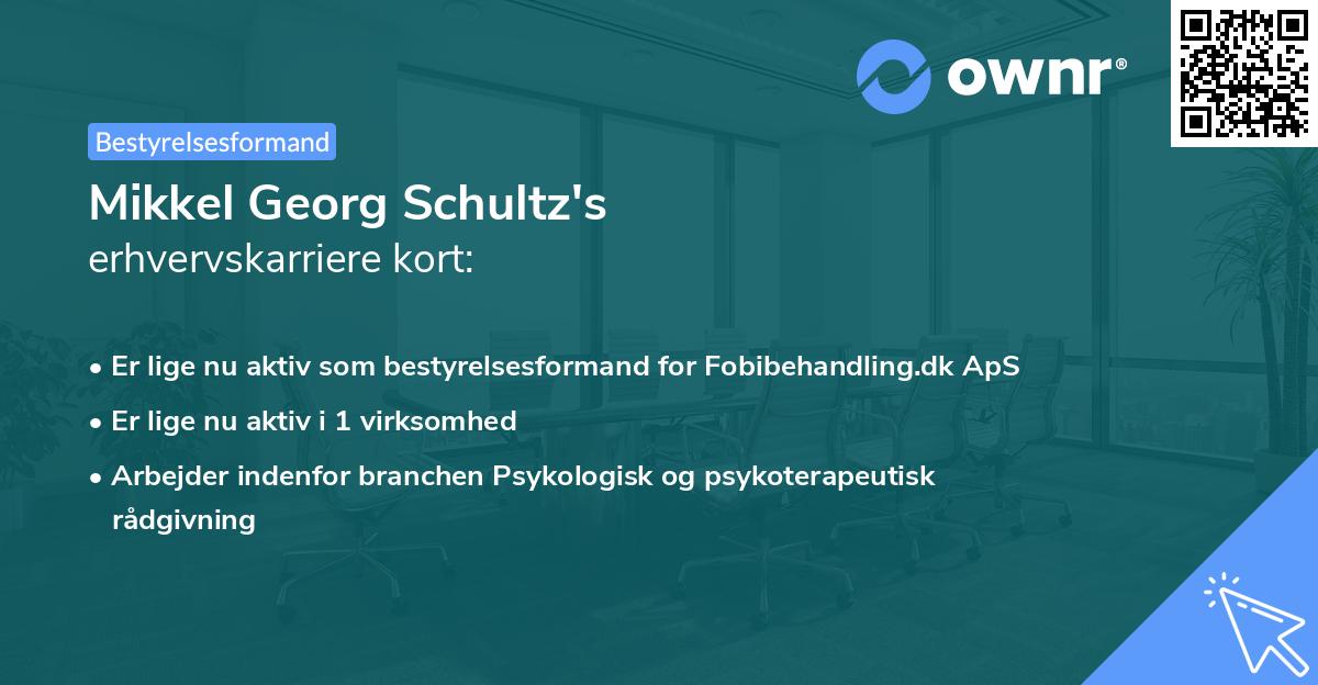Mikkel Georg Schultz's erhvervskarriere kort