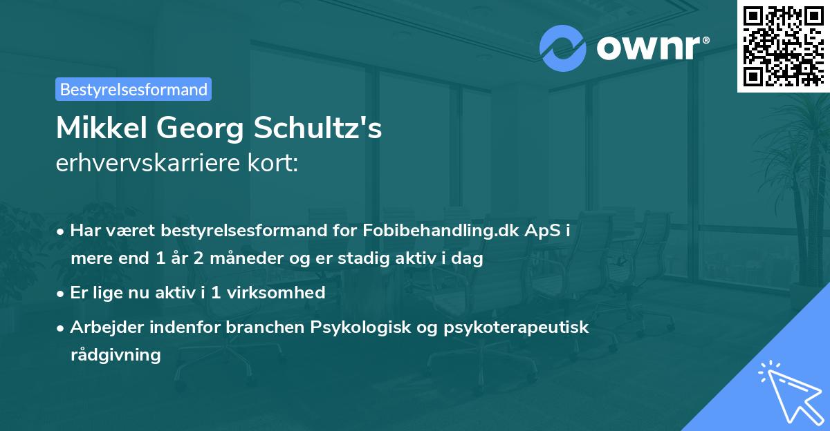 Mikkel Georg Schultz's erhvervskarriere kort