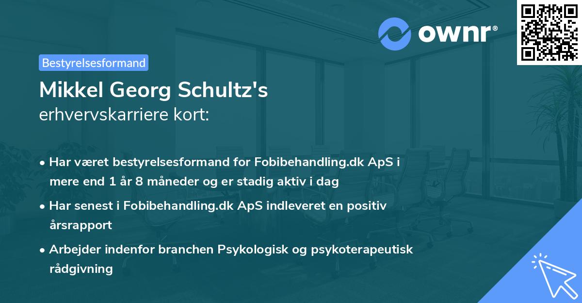 Mikkel Georg Schultz's erhvervskarriere kort