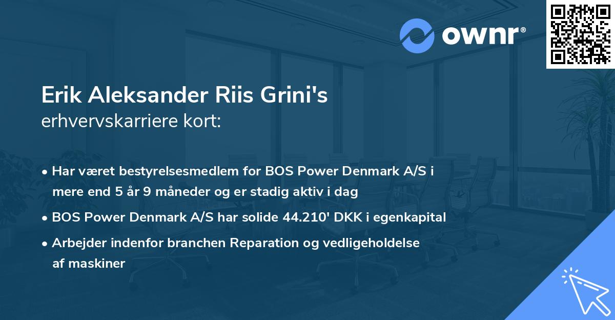 Erik Aleksander Riis Grini's erhvervskarriere kort