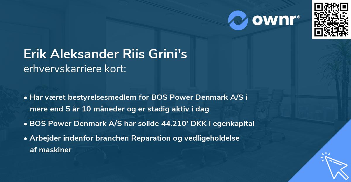 Erik Aleksander Riis Grini's erhvervskarriere kort