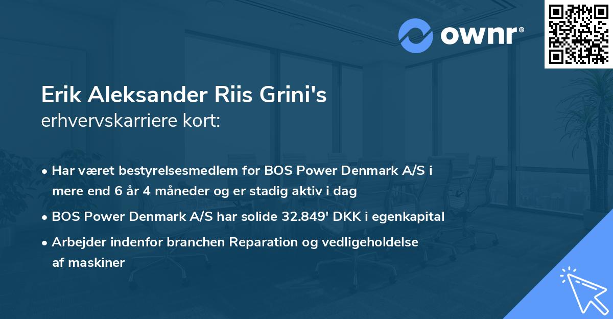 Erik Aleksander Riis Grini's erhvervskarriere kort