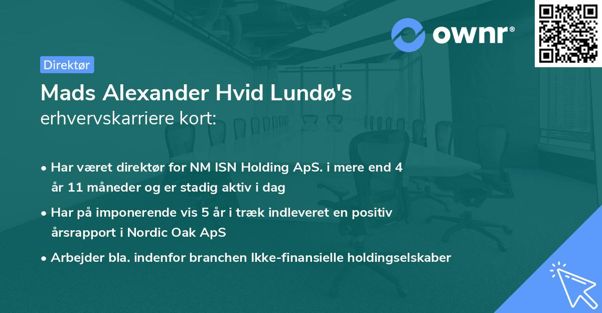 Mads Alexander Hvid Lundø's erhvervskarriere kort