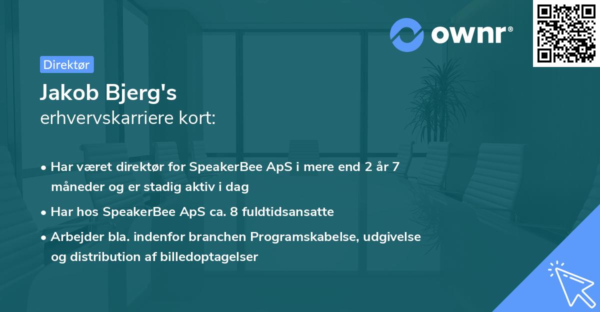 Jakob Bjerg's erhvervskarriere kort