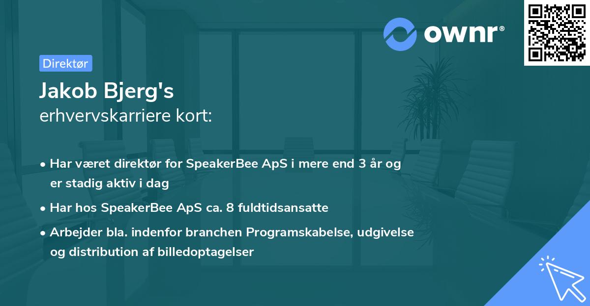 Jakob Bjerg's erhvervskarriere kort