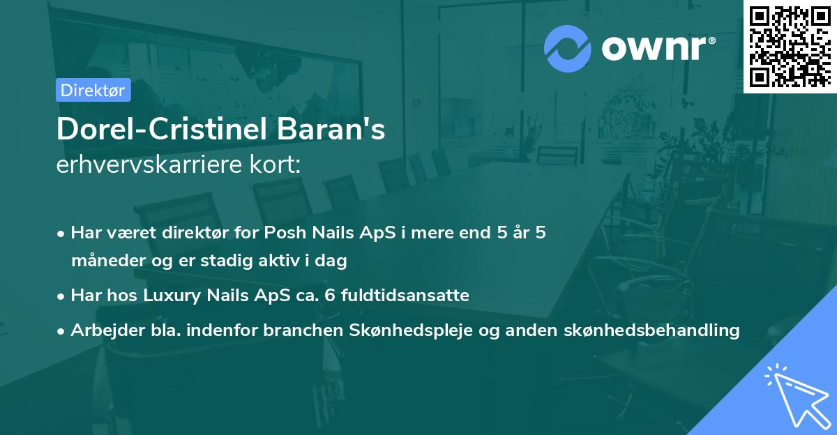 Dorel-Cristinel Baran's erhvervskarriere kort