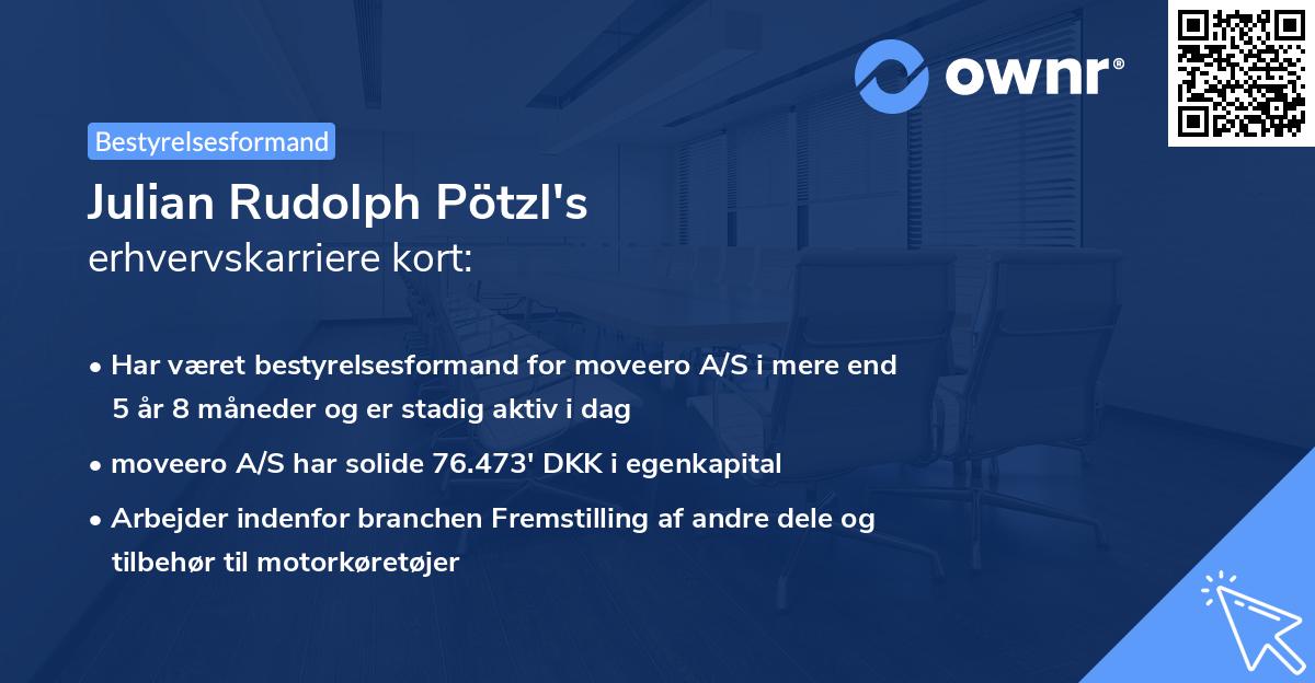 Julian Rudolph Pötzl's erhvervskarriere kort