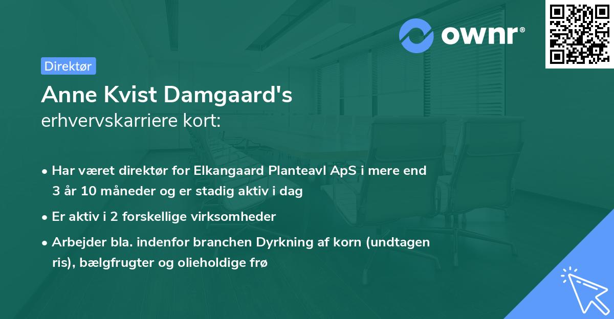 Anne Kvist Damgaard's erhvervskarriere kort