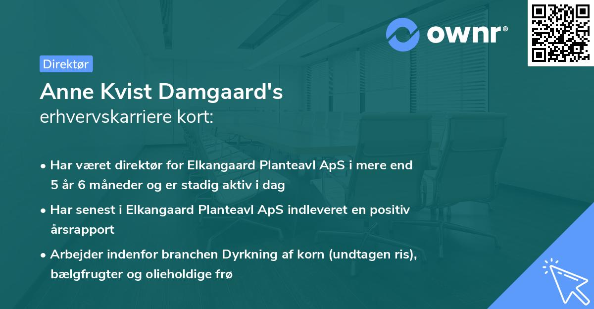 Anne Kvist Damgaard's erhvervskarriere kort