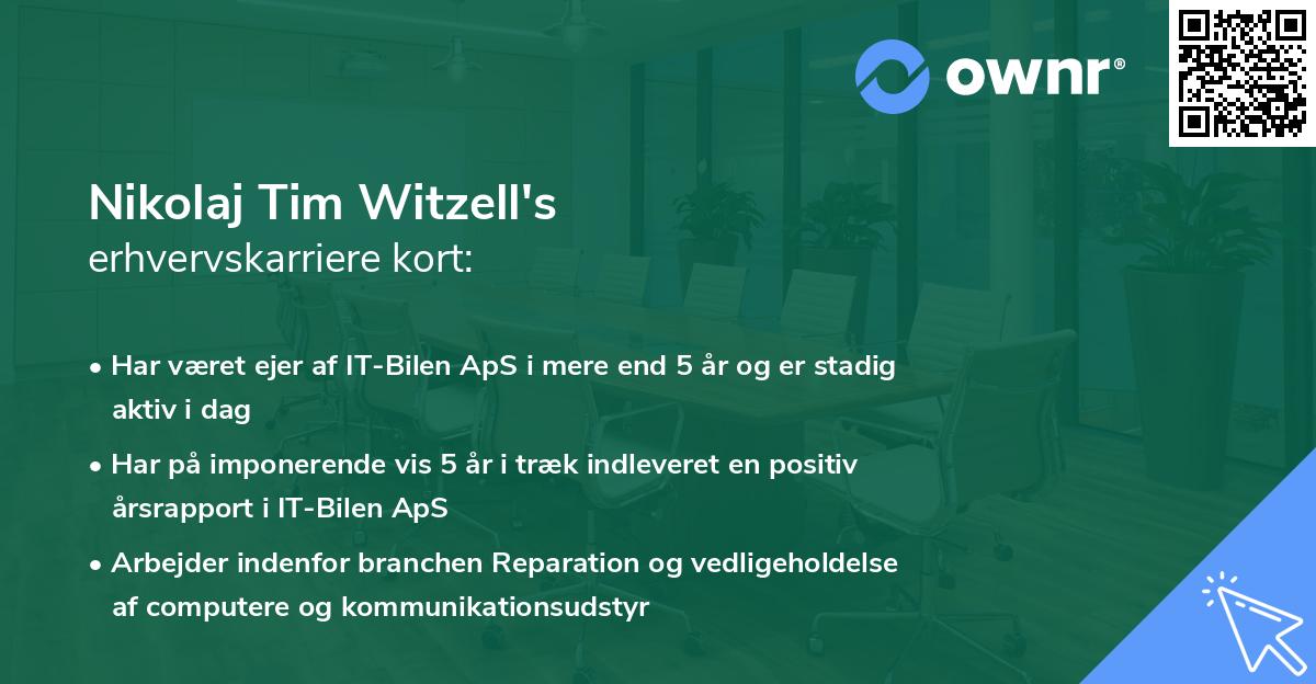 Nikolaj Tim Witzell's erhvervskarriere kort