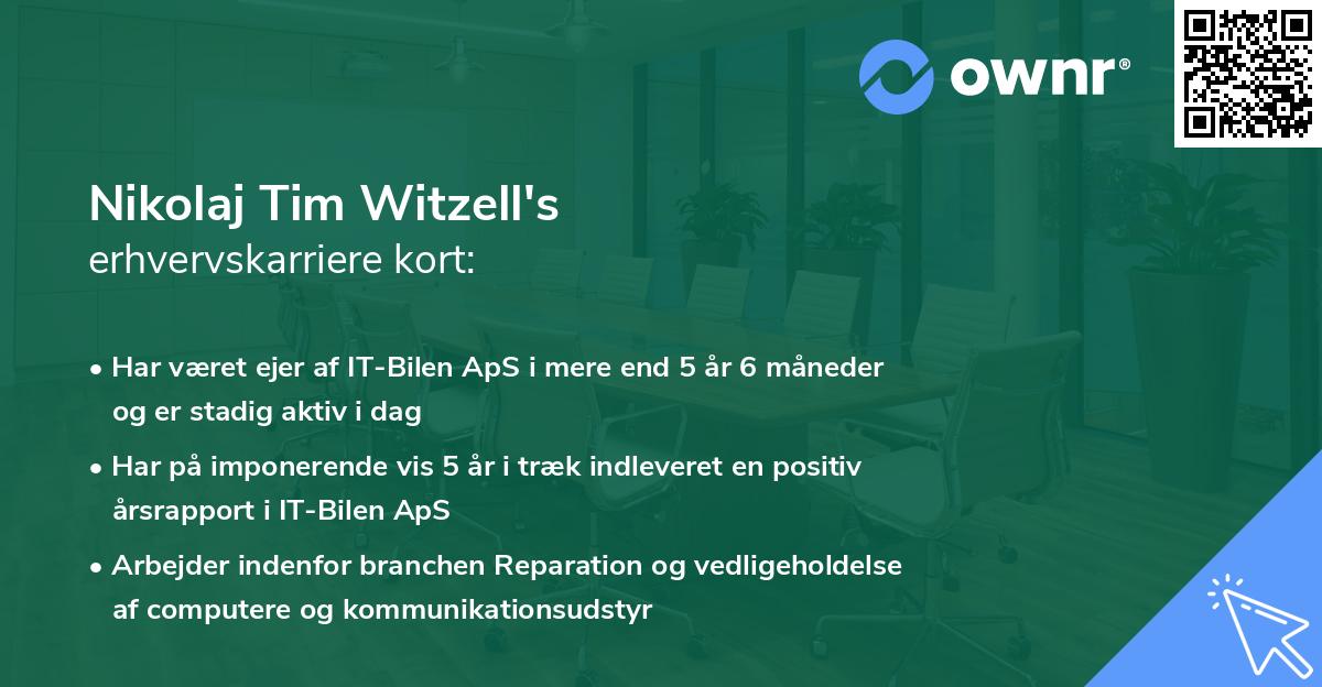 Nikolaj Tim Witzell's erhvervskarriere kort