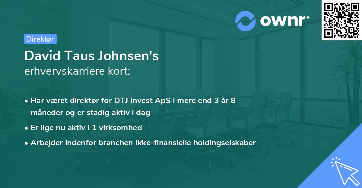 David Taus Johnsen's erhvervskarriere kort
