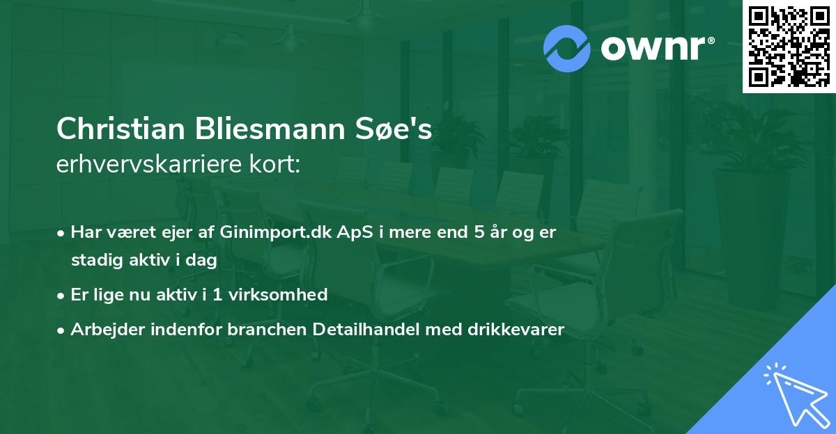Christian Bliesmann Søe's erhvervskarriere kort