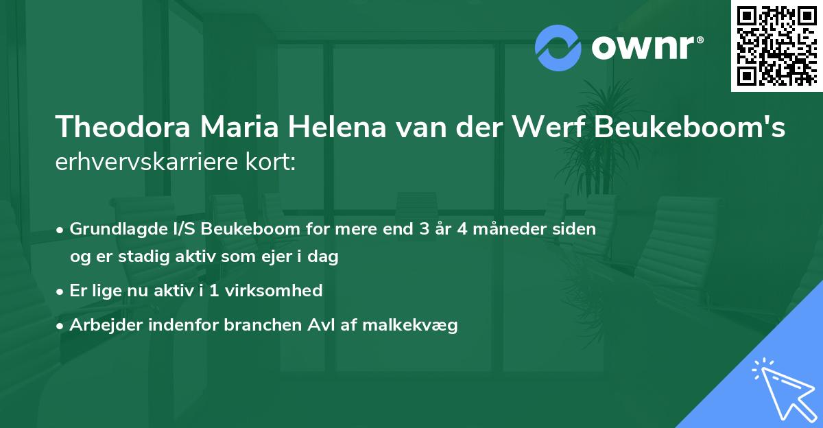 Theodora Maria Helena van der Werf Beukeboom's erhvervskarriere kort