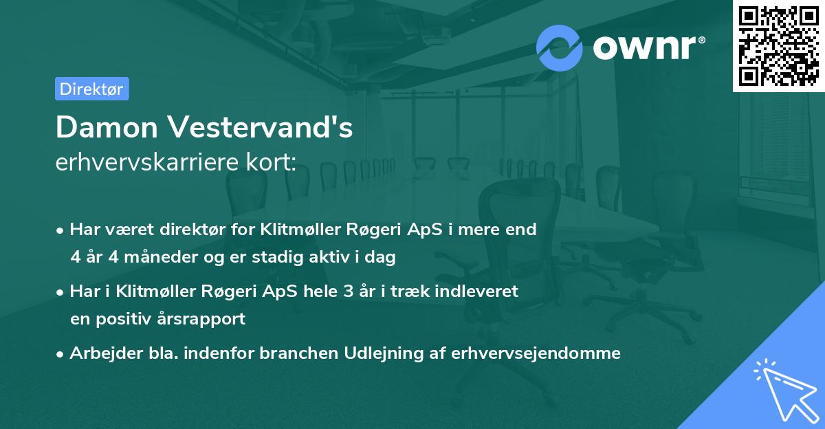 Damon Vestervand's erhvervskarriere kort